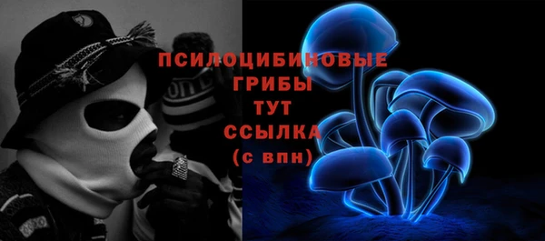 apvp Абаза