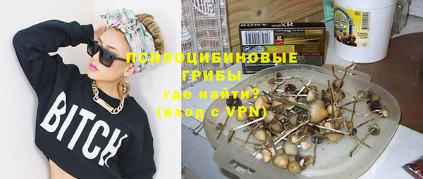apvp Алексеевка